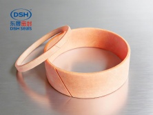 導向環(huán)DST3